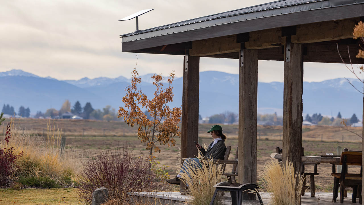 tout savoir sur starlink 6M78SE