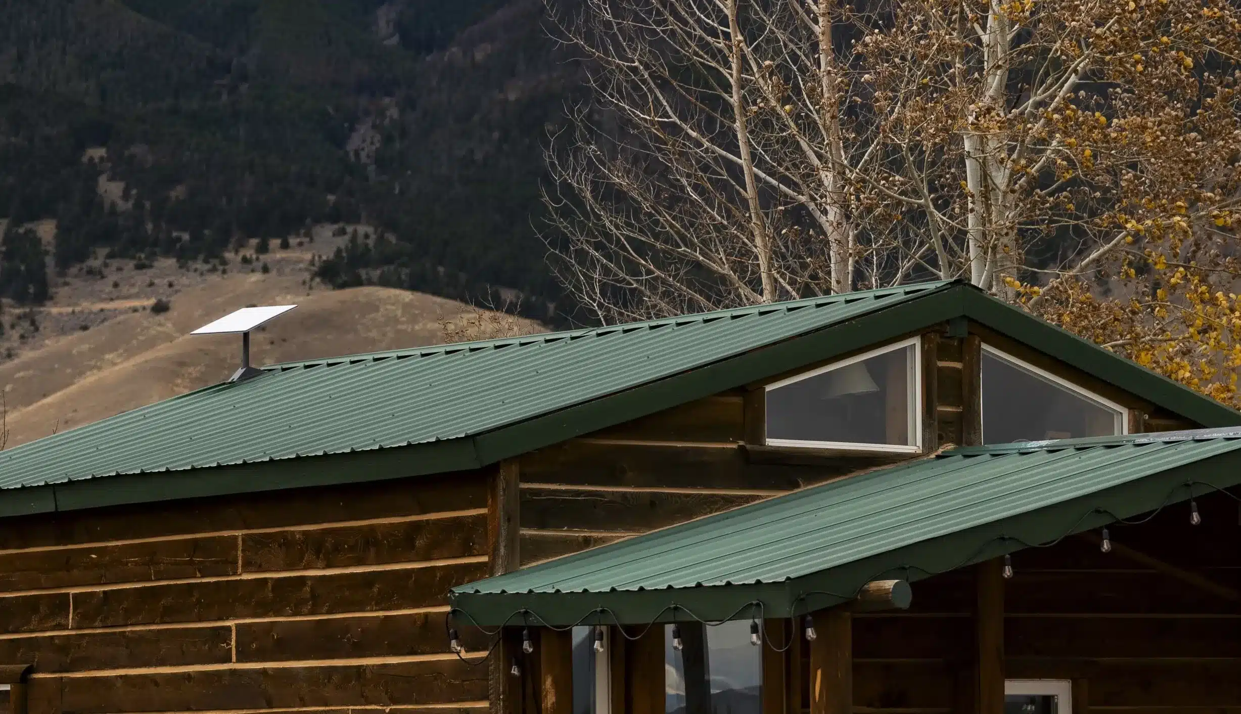 v4 green roof